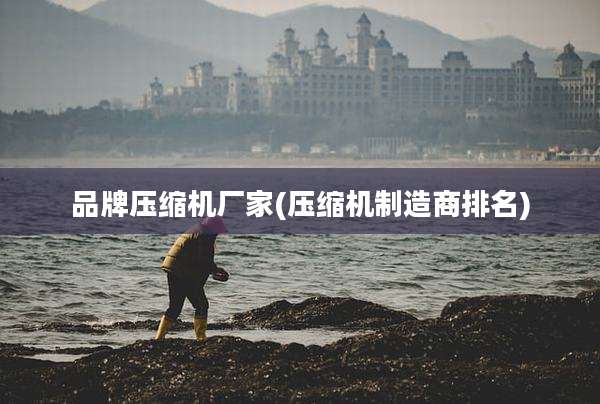 品牌压缩机厂家(压缩机制造商排名)