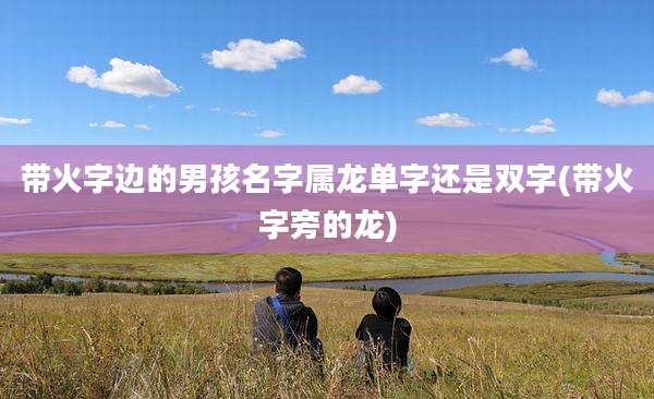 带火字边的男孩名字属龙单字还是双字(带火字旁的龙)