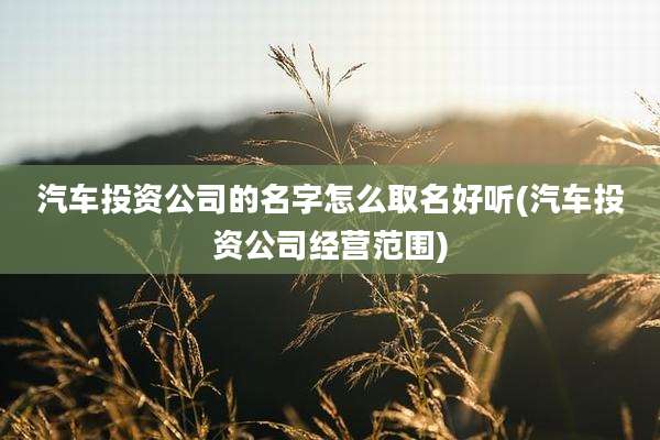 汽车投资公司的名字怎么取名好听(汽车投资公司经营范围)