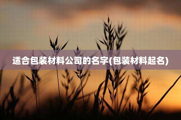 适合包装材料公司的名字(包装材料起名)