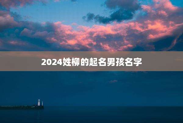 2024姓柳的起名男孩名字