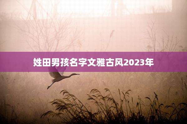姓田男孩名字文雅古风2023年