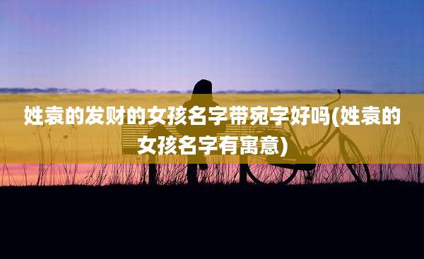 姓袁的发财的女孩名字带宛字好吗(姓袁的女孩名字有寓意)