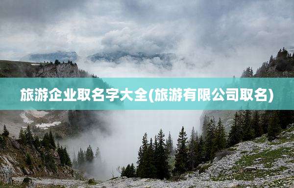 旅游企业取名字大全(旅游有限公司取名)