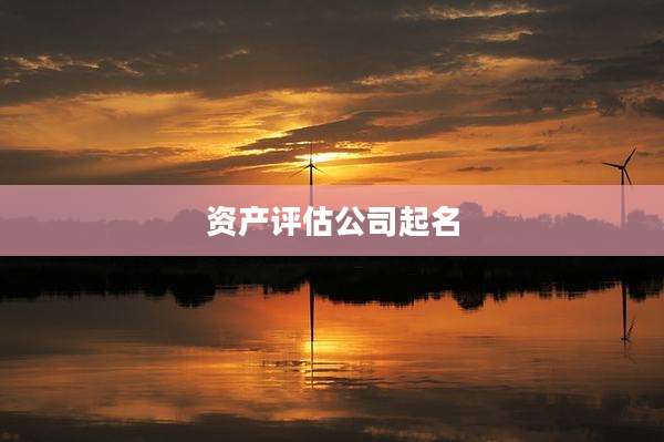 资产评估公司起名