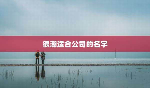 很潮适合公司的名字
