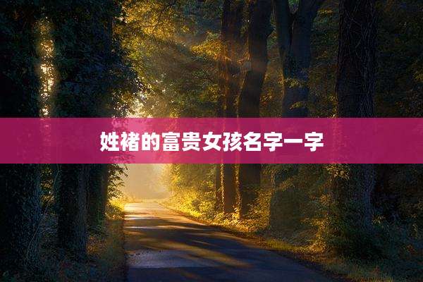 姓褚的富贵女孩名字一字