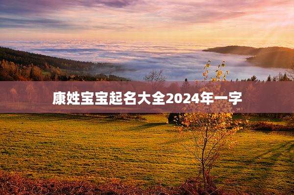 康姓宝宝起名大全2024年一字