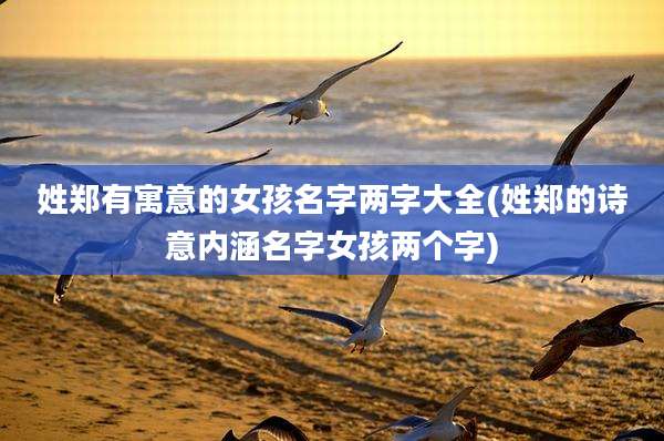 姓郑有寓意的女孩名字两字大全(姓郑的诗意内涵名字女孩两个字)