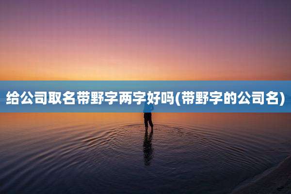 给公司取名带野字两字好吗(带野字的公司名)