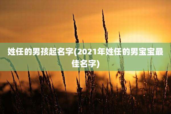 姓任的男孩起名字(2021年姓任的男宝宝最佳名字)