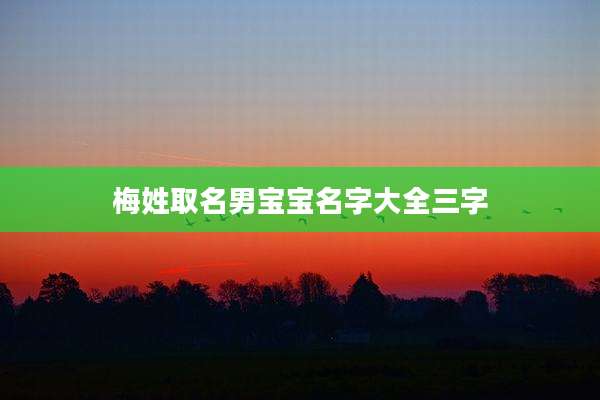 梅姓取名男宝宝名字大全三字