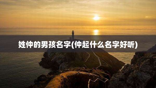 姓仲的男孩名字(仲起什么名字好听)
