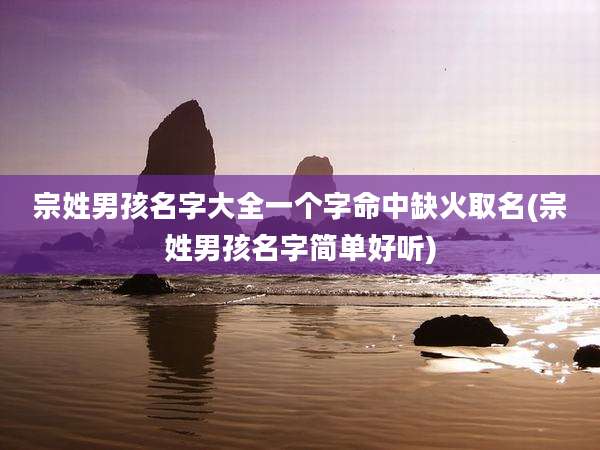 宗姓男孩名字大全一个字命中缺火取名(宗姓男孩名字简单好听)