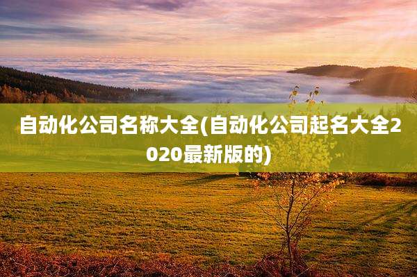 自动化公司名称大全(自动化公司起名大全2020最新版的)