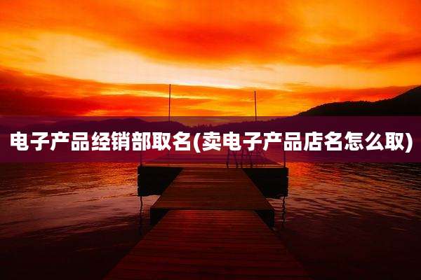 电子产品经销部取名(卖电子产品店名怎么取)