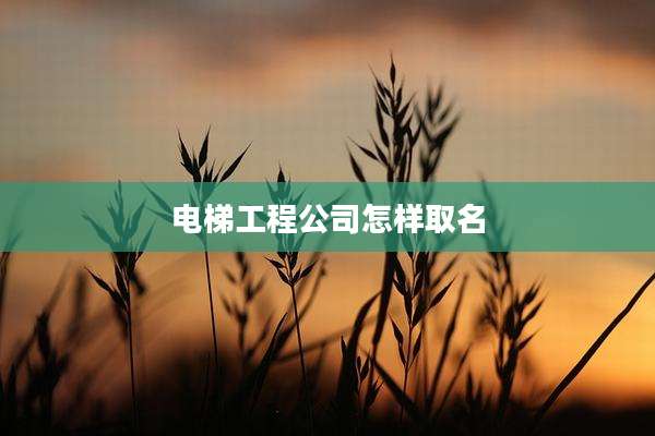 电梯工程公司怎样取名