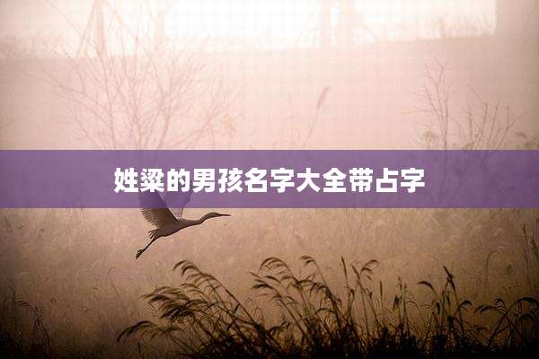 姓粱的男孩名字大全带占字