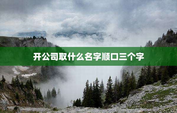 开公司取什么名字顺口三个字