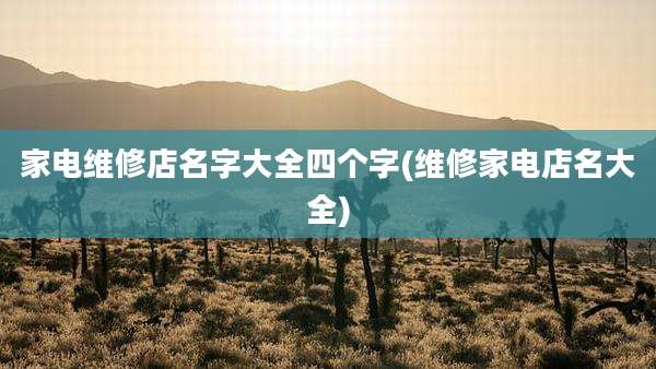 家电维修店名字大全四个字(维修家电店名大全)