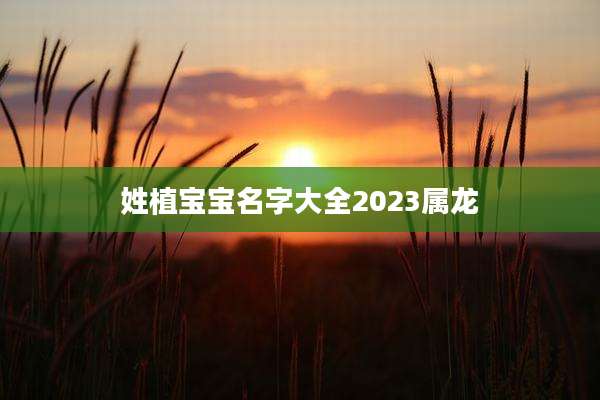 姓植宝宝名字大全2023属龙