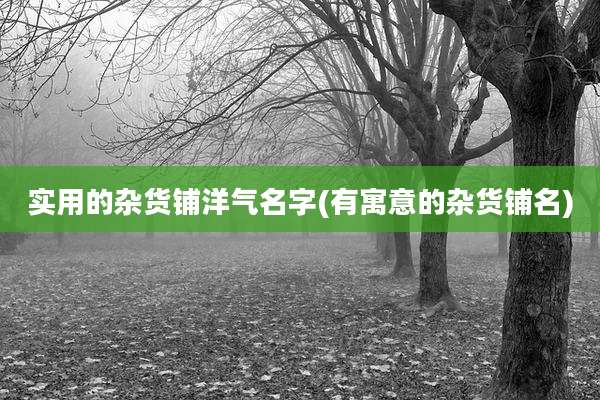 实用的杂货铺洋气名字(有寓意的杂货铺名)