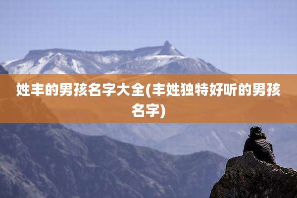 姓丰的男孩名字大全(丰姓独特好听的男孩名字)