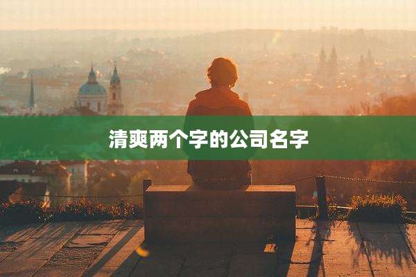 清爽两个字的公司名字