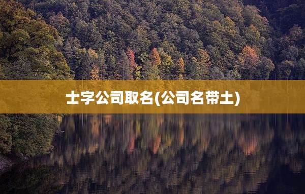 士字公司取名(公司名带土)