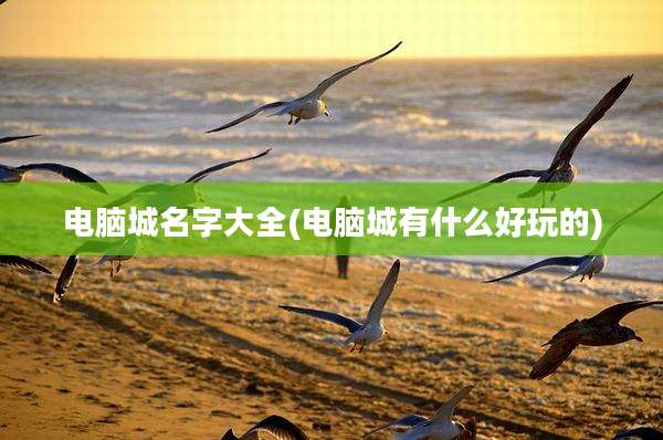 电脑城名字大全(电脑城有什么好玩的)