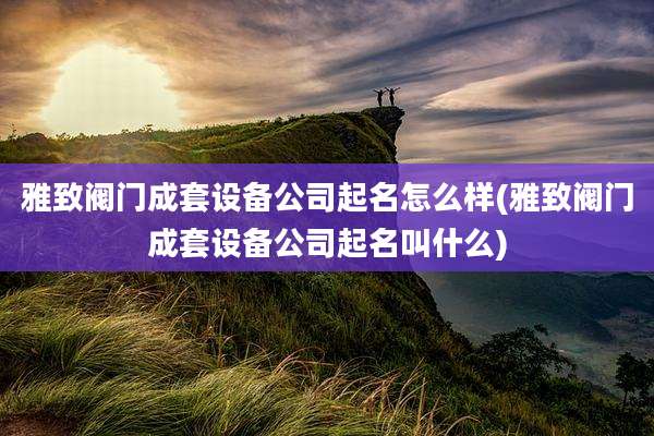 雅致阀门成套设备公司起名怎么样(雅致阀门成套设备公司起名叫什么)