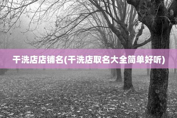 干洗店店铺名(干洗店取名大全简单好听)