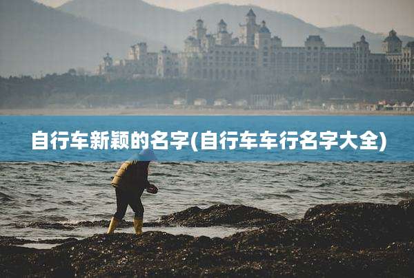 自行车新颖的名字(自行车车行名字大全)