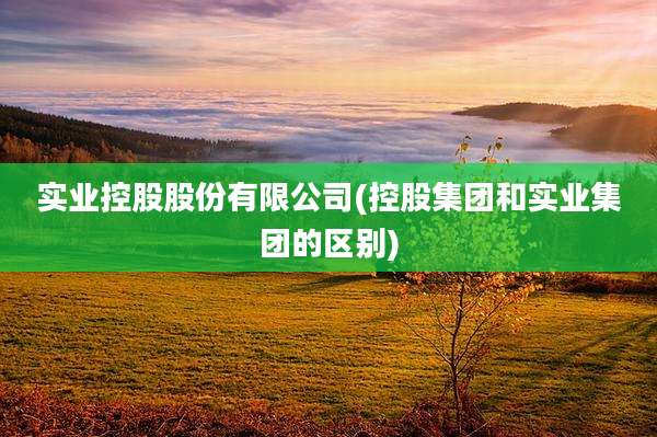 实业控股股份有限公司(控股集团和实业集团的区别)