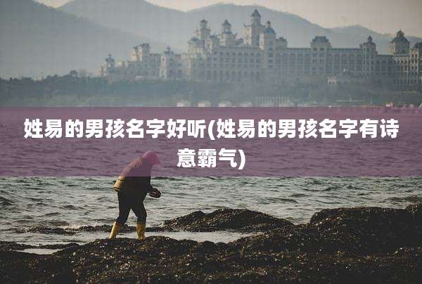 姓易的男孩名字好听(姓易的男孩名字有诗意霸气)