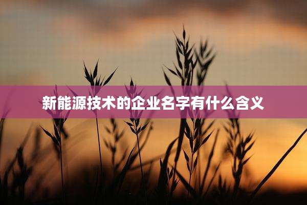 新能源技术的企业名字有什么含义