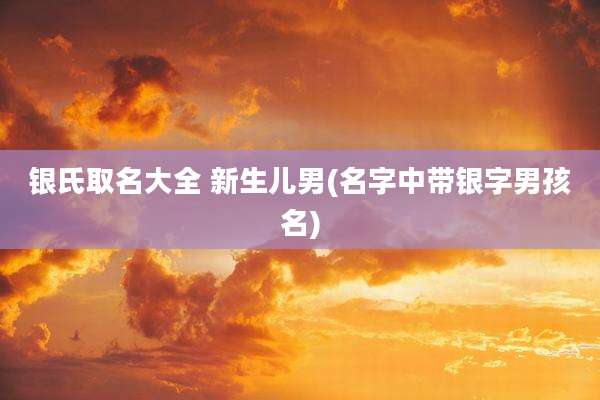 银氏取名大全 新生儿男(名字中带银字男孩名)