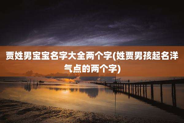 贾姓男宝宝名字大全两个字(姓贾男孩起名洋气点的两个字)