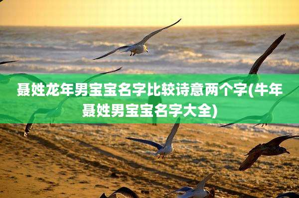 聂姓龙年男宝宝名字比较诗意两个字(牛年聂姓男宝宝名字大全)