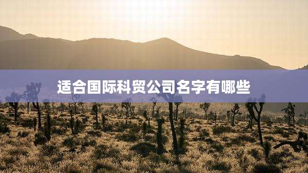 适合国际科贸公司名字有哪些