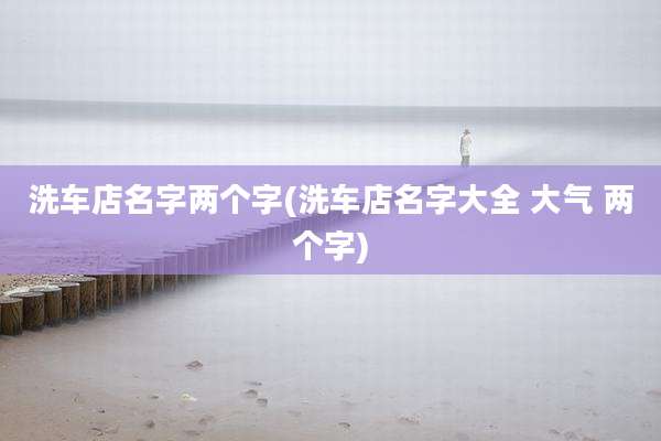 洗车店名字两个字(洗车店名字大全 大气 两个字)