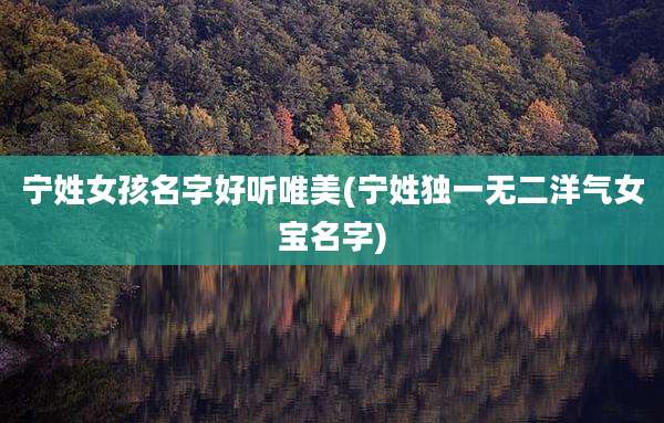 宁姓女孩名字好听唯美(宁姓独一无二洋气女宝名字)