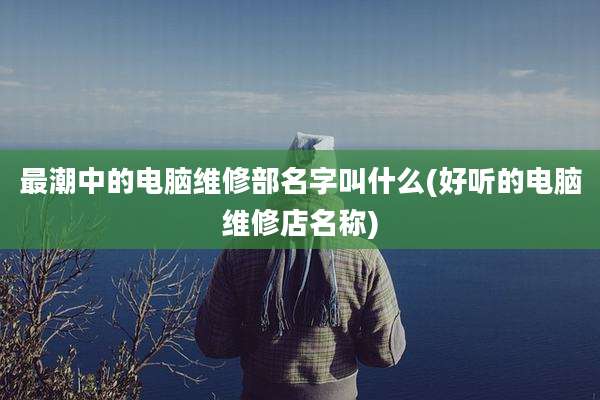 最潮中的电脑维修部名字叫什么(好听的电脑维修店名称)
