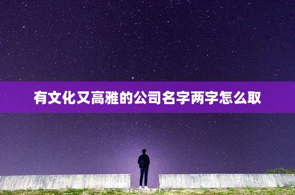 有文化又高雅的公司名字两字怎么取