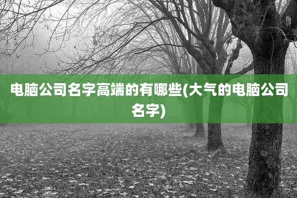 电脑公司名字高端的有哪些(大气的电脑公司名字)