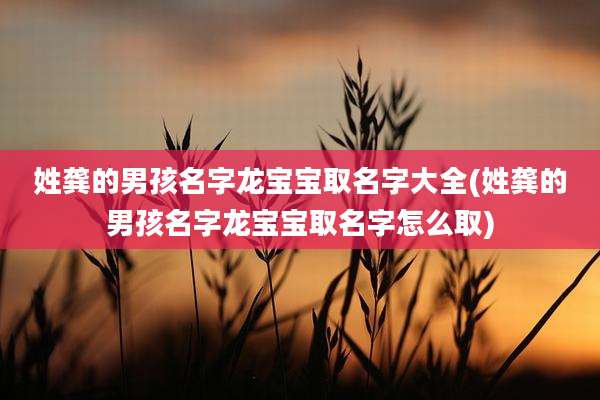 姓龚的男孩名字龙宝宝取名字大全(姓龚的男孩名字龙宝宝取名字怎么取)