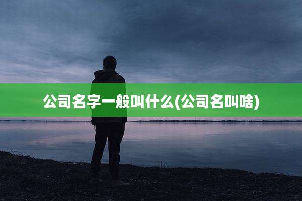 公司名字一般叫什么(公司名叫啥)