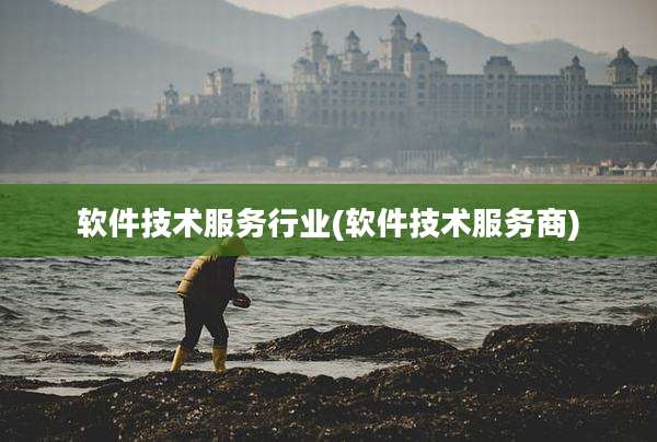 软件技术服务行业(软件技术服务商)