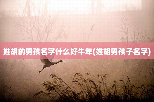 姓胡的男孩名字什么好牛年(姓胡男孩子名字)