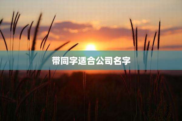 带同字适合公司名字